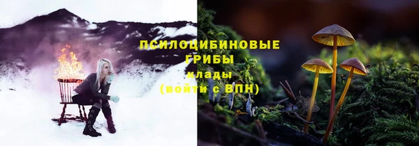 соль ск Саяногорск