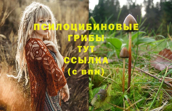дурь Морозовск