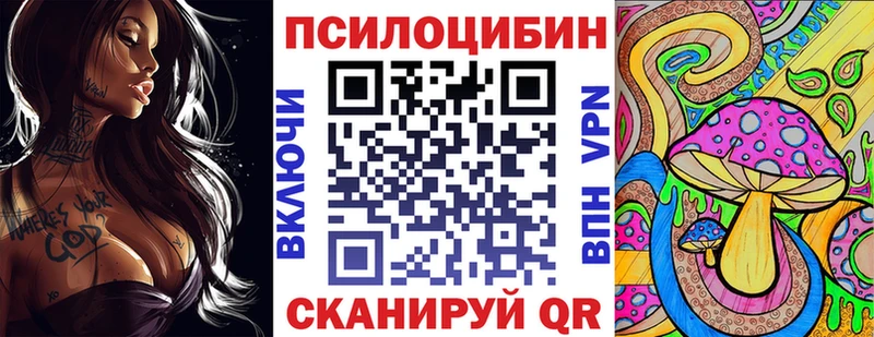 гидра как войти  Тимашёвск  Псилоцибиновые грибы Psilocybe 